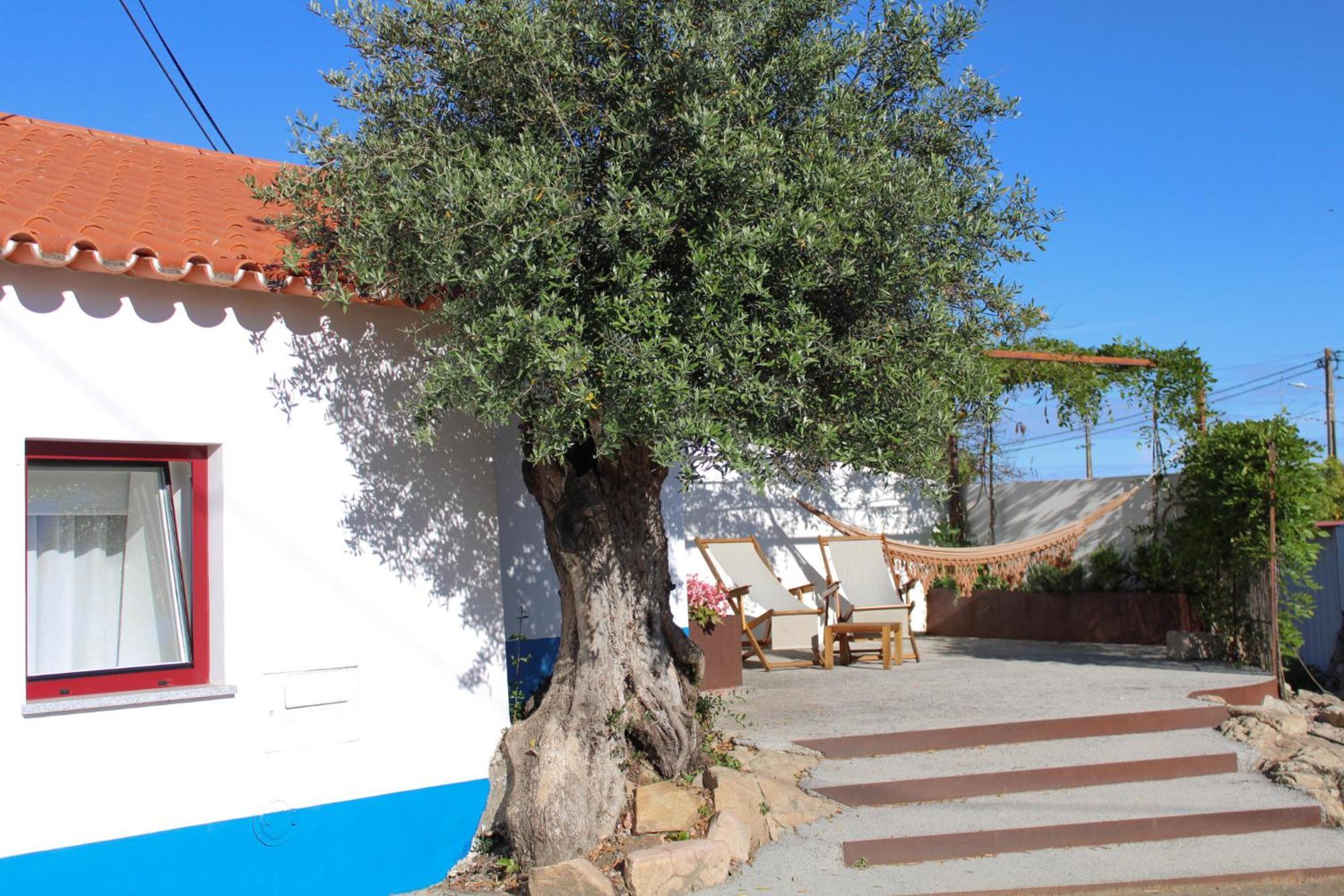 São Brás do Regedouro - Turismo na Aldeia Évora Exterior foto