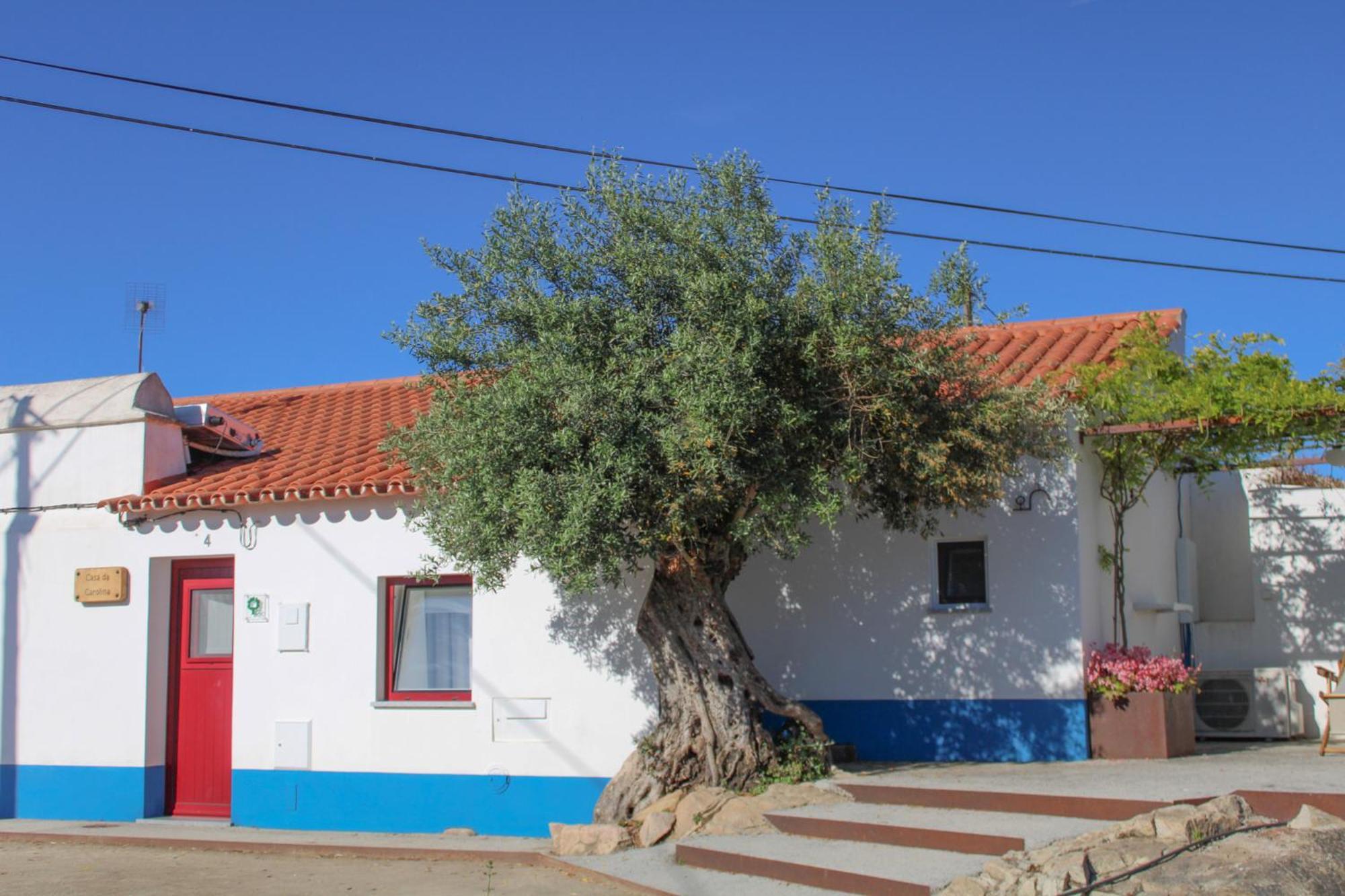 São Brás do Regedouro - Turismo na Aldeia Évora Exterior foto